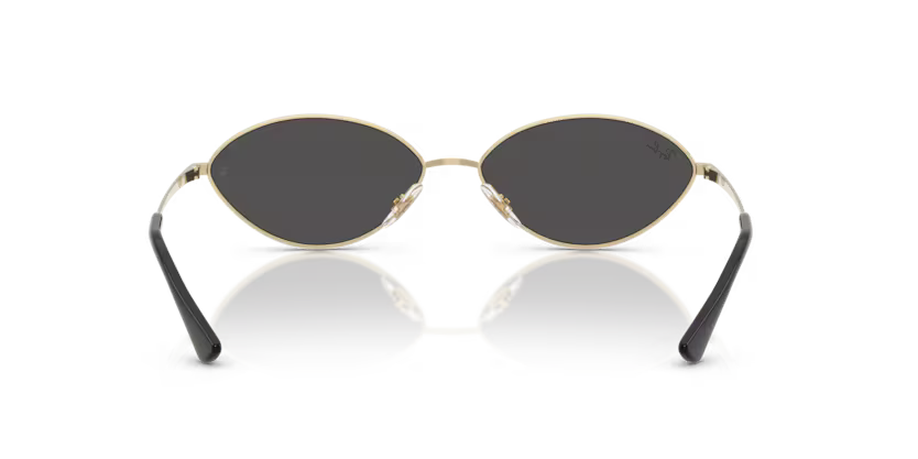 RAY-BAN RB3757 Sunglass