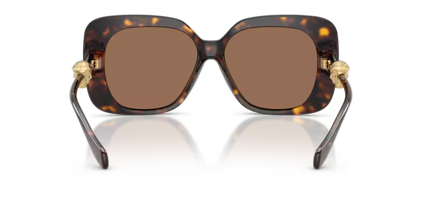 VERSACE VE4499U Sunglass