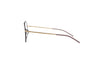 ORGREEN HEMISPHERE Optical Frame