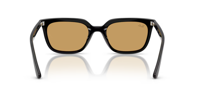 RAY-BAN RB4439D Sunglass