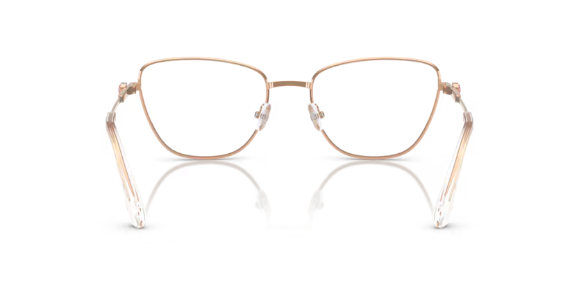 SWAROVSKI SK1018 Optical Frame