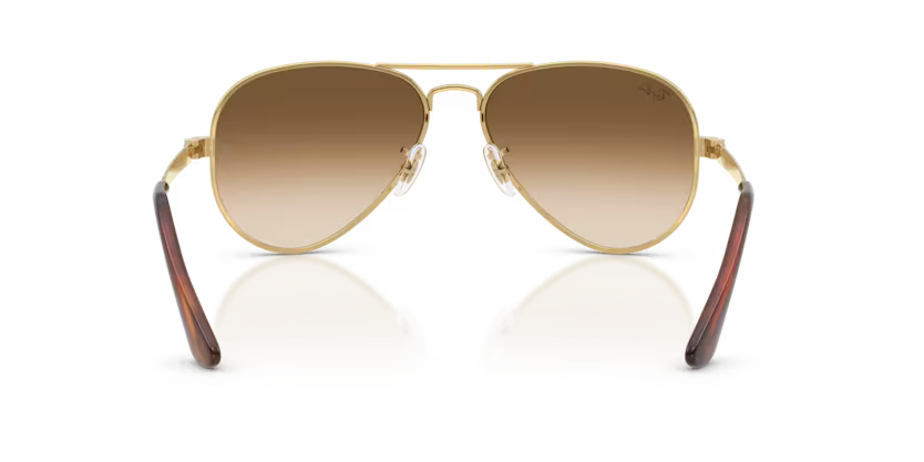 RAY-BAN RB3925 Sunglass
