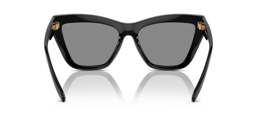 MICHAEL KORS MK2211U Sunglass