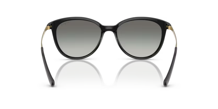 VOGUE VO5647SI Sunglass