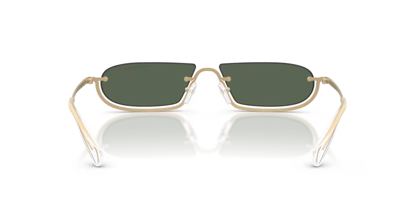 ARMANI EXCHANGE AX2058S Sunglass