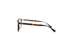 MOSCOT ARTHUR NV Optical Frame
