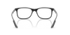 RAY-BAN RX8903 Optical Frame