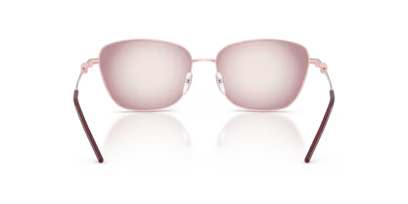 EMPORIO ARMANI EA2170 Sunglass