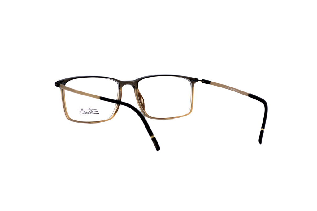 SILHOUETTE 2965/75 Optical Frame