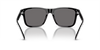 EMPORIO ARMANI EA4208 Sunglass
