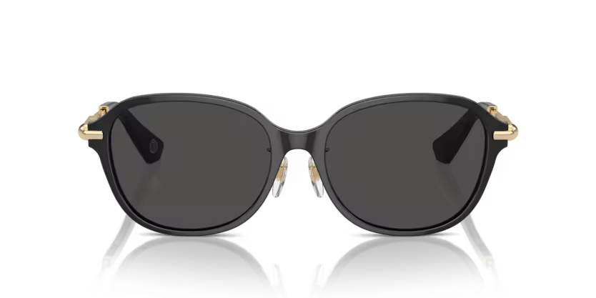 BURBERRY BE4429D Sunglass