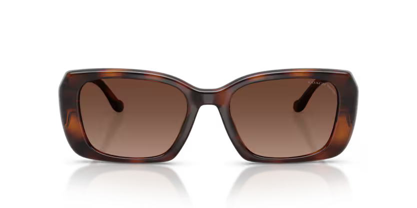 COACH HC8435U Sunglass