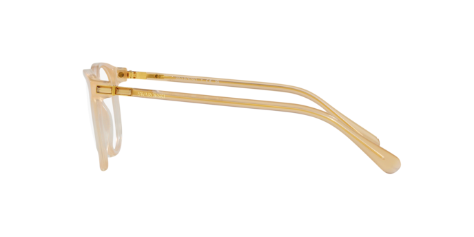 SWAROVSKI SK2002 Optical Frame