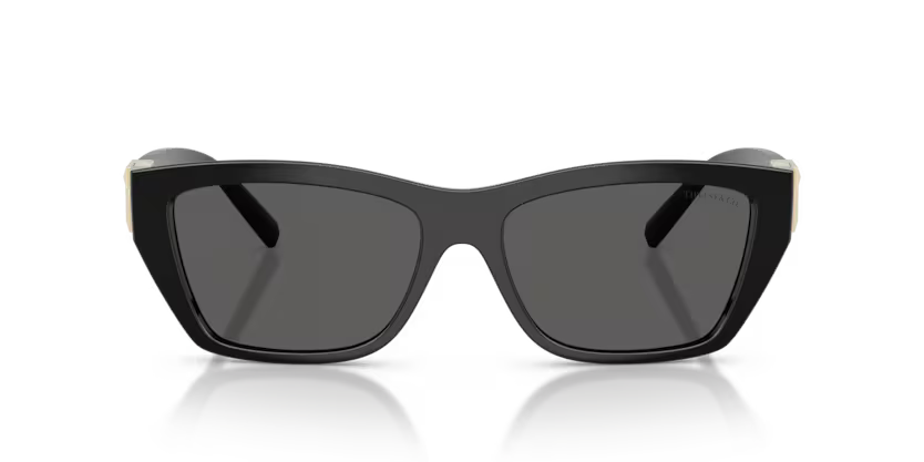 Tiffany & Co TF4255U Sunglass