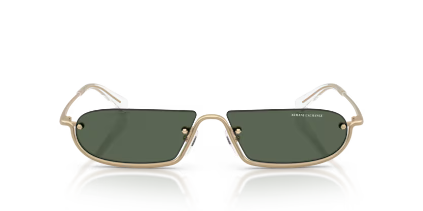 ARMANI EXCHANGE AX2058S Sunglass