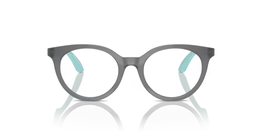 EMPORIO ARMANI JUNIOR EK3007 Optical Frame