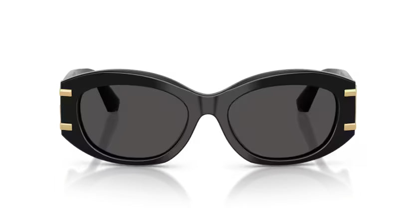 DOLCE & GABBANA DG4502 Sunglass
