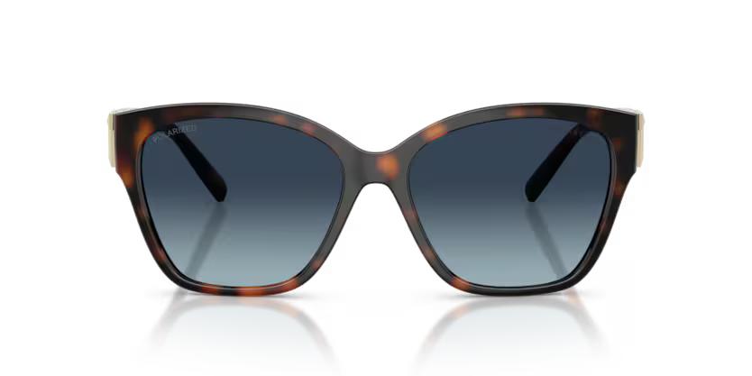 Tiffany & Co TF4254U Sunglass