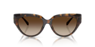 MICHAEL KORS MK2241U Sunglass | High end optical frames | SpecsBunker India | branded eyeglasses in India