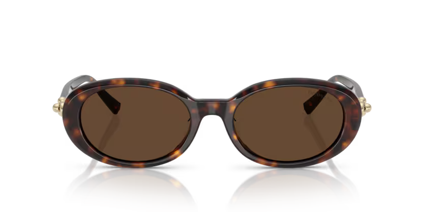 Tiffany & Co TF4242D Sunglass