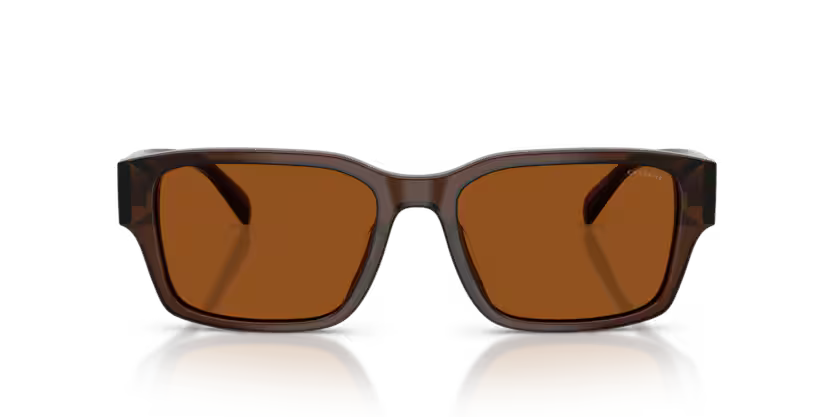 COACH HC8441U Sunglasses | Premium optical frames | SpecsBunker India |luxury eyeglasses online in India