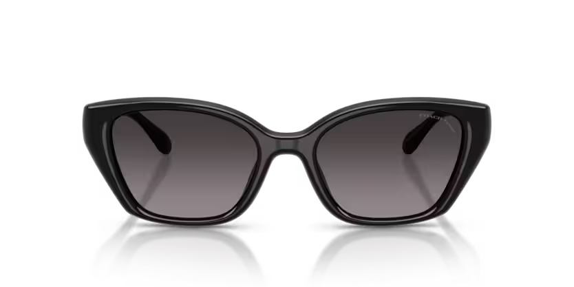 COACH HC8434U Sunglass