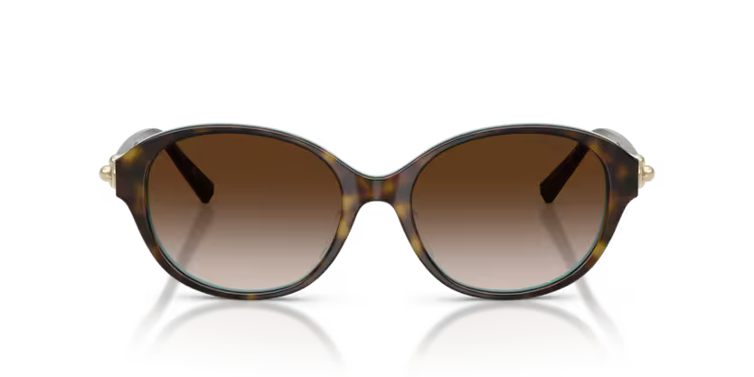 Tiffany & Co TF4263D Sunglass