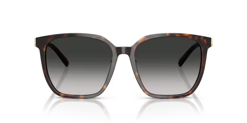 Tiffany & Co TF4244D Sunglass