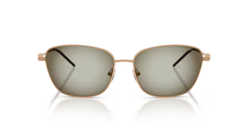 EMPORIO ARMANI EA2170 Sunglass