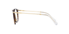 SWAROVSKI SK2009 Optical Frame