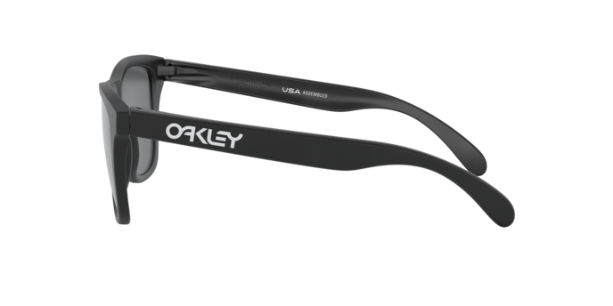 OAKLEY OO9013 Sunglass