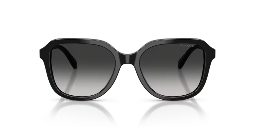 COACH HC8437U Sunglass online in India – branded UV protection shades