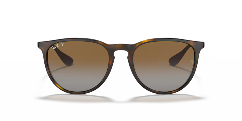 RAY-BAN RB4171 Sunglass