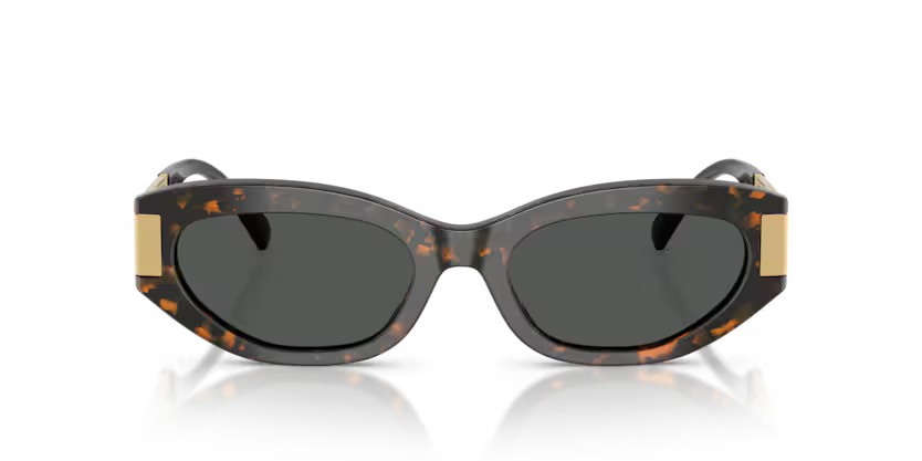 VERSACE VE4501 Sunglass