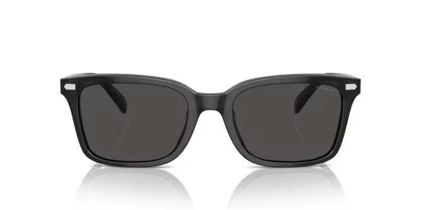 COACH HC8398U Sunglass online in India – stylish designer eyewear