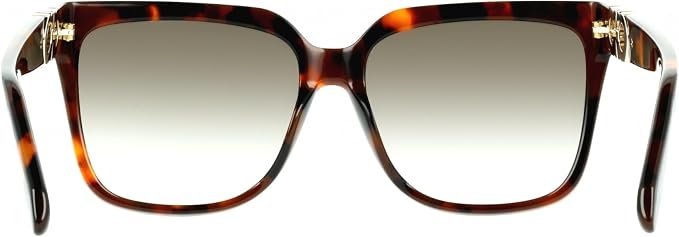FERRAGAMO SF2109 Sunglass