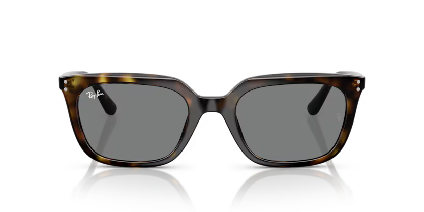 RAY-BAN RB4439D Sunglass