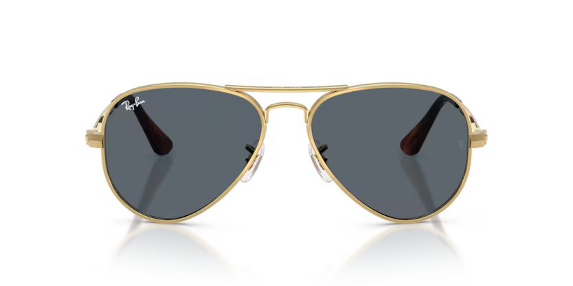 RAY-BAN RB3925 Sunglass