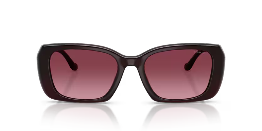 COACH HC8435U Sunglasses | Luxury designer eyeglasses | SpecsBunker India |designer optical eyewear