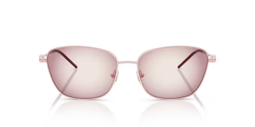 EMPORIO ARMANI EA2170 Sunglass