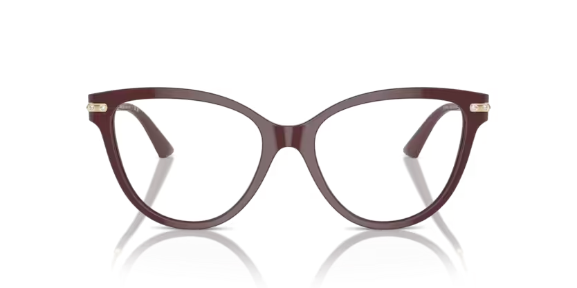 JIMMY CHOO JC3001B Optical Frame