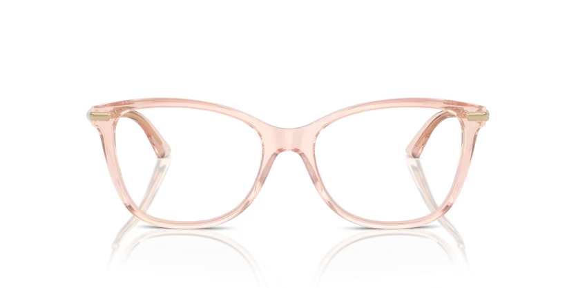 JIMMY CHOO JC3007HB Optical Frame