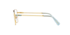 SWAROVSKI SK1003 Optical Frame