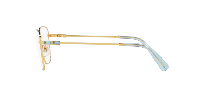 SWAROVSKI SK1003 Optical Frame
