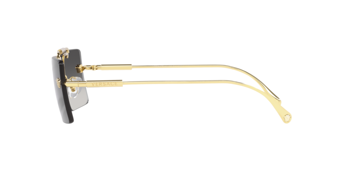 VERSACE VE2245 Sunglass