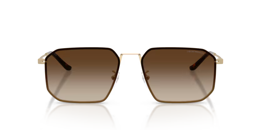 EMPORIO ARMANI EMPORIO ARMANI EA2165D Sunglass gold irregular sunglass for Men