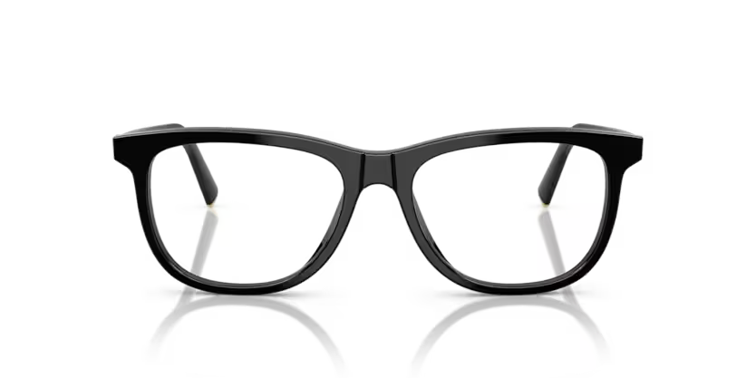 MIU MIU MU01WV Optical Frames