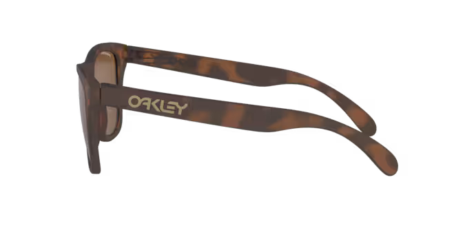 OAKLEY OO9013 Sunglass