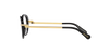 SWAROVSKI SK2001 Optical Frame