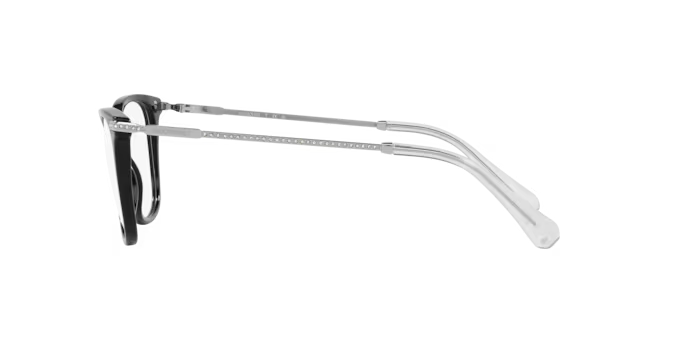SWAROVSKI SK2010 Optical Frame